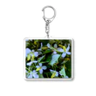 nijiirosorausagiのどくだみの花  うさぎの畑 Acrylic Key Chain