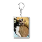 ayamomohidemiのキュートな猫猫あくび Acrylic Key Chain