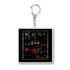 metamemeMatrix（メタミーム・マトリックス）のDNA & DNA Acrylic Key Chain