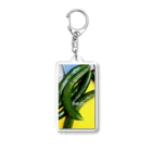 namaru1222の新鮮!! Acrylic Key Chain