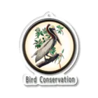 アニマル四字熟語の野鳥保護「カッショクペリカン」Bird　Conservasion　 　 Acrylic Key Chain