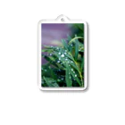 Kazuhito Nakayamaのraindrops on the grass Acrylic Key Chain