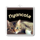 ふくよかさんちのNyancole こてつ アクリルキーホルダー