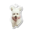 カケイプランツのダッシュ！ジャンプ！犬 Acrylic Key Chain