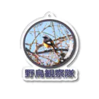 アニマル四字熟語のジョウビタキ　野鳥観察隊　日本の野鳥　 アクリルキーホルダー