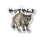 ayatoraのサビ猫のやんのかステップ Acrylic Key Chain