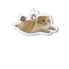 犬と猫の親バカ日記【公式グッズ】のキーホルダー　空飛ぶ猫と犬 Acrylic Key Chain