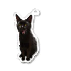 黒猫Onlyの大あくび黒ねこ Acrylic Key Chain