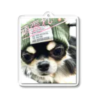 我が家の愛犬の癒しの愛犬 Acrylic Key Chain