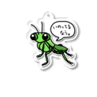 虫好きモロ【カマキリ愛好家】のいのってるなうVer. カマキリのイノルちゃん アクリルキーホルダー