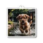 mamekichi445の水遊び楽しむ子犬くん Acrylic Key Chain