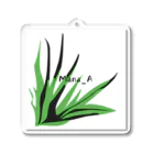 Mana AのカラフルTillandsia Acrylic Key Chain