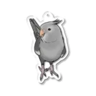 kuruminmin395963のオカメインコ・アクリルキーホルダー・ホワイトフェイス女子２ Acrylic Key Chain