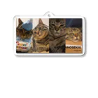 なずなの世界の猫のなずな色んな表情詰め合わせグッズ Acrylic Key Chain