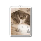 ねこ屋にこ日和の思い出1 Acrylic Key Chain