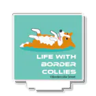 Bordercollie StreetのLC2405-1 Acrylic Stand