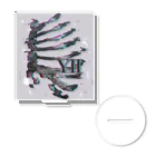 AtelierY2のrib cage Acrylic Stand