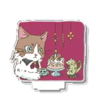 猫のきぬくんのお店の素敵な夜 Acrylic Stand