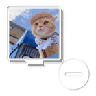 農家の息子猫まるショップの農家の息子猫まる。グッズ Acrylic Stand