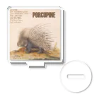 PALA's SHOP　cool、シュール、古風、和風、のPORCUPINE　ヤマアラシ Acrylic Stand