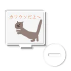 mamefantasticのカワウソだよ〜 アクリルスタンド