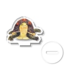 めろんぽっぷのお店だよの見上げる、セマルハコガメ アクスタ！ Acrylic Stand