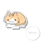 ときののねこ Acrylic Stand