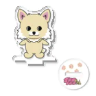 shigeruのチワワちゃん Acrylic Stand