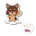 shigeruのチワワちゃん（チョコタン）「ぐっ！」 Acrylic Stand