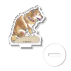 幸まる屋の柴犬　Shiba  Acrylic Stand