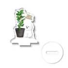 omuginoco.の植物と犬（ビションフリーゼ） Acrylic Stand