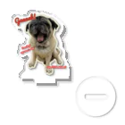 mimosaのI am Pug!　 アクリルスタンド