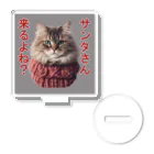 てくのちゃんのサンタを信じてる猫 Acrylic Stand