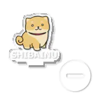 天照 のっけ(LINEスタンプ販売中)の柴犬 Acrylic Stand