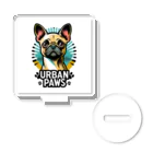 Urban pawsのパグチワワ「Urban paws 」 アクリルスタンド