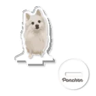 pomeraniannoponchanのポメラニアンのぽんちゃん アクリルスタンド