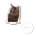 猫ミームグッズの【猫ミーム】叱られる猫 アクリルスタンド
