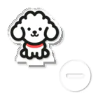 わんこグッズしょっぷcooの白プードル Acrylic Stand