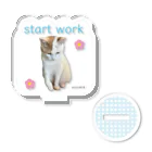 猫T屋のIT系猫 ・start work / アクリルスタンド Acrylic Stand