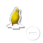 s301149のジャンボセキセイインコ アクリルスタンド