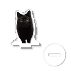 かわいい黒猫ハーブ🌿のﾎｰ梟みたいなハーブ アクリルスタンド
