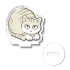 猫屋カエデのキジ白猫 Acrylic Stand