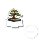 ドットcomのBonsai Acrylic Stand