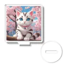 yoiyononakaの春と桜と虎縞白猫 アクリルスタンド