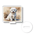 Animal Illustration shopのコトン・ド・テュレアール　Coton de Tulear　水彩画風 アクリルスタンド