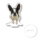 包夢餡子🥟🥢の可愛い犬 Acrylic Stand