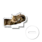 うちの猫ちゃんたちの熟睡このは_No.1 アクリルスタンド