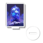 AQUAMETAVERSEのブリザードフラワーをガラスドームの中へ　ラフルール　1859 Acrylic Stand