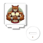 MUSCLE CAT 🐈🐈‍⬛のマッスルキャット　キジ虎 アクリルスタンド