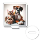mameno_shinの猫と犬 Acrylic Stand